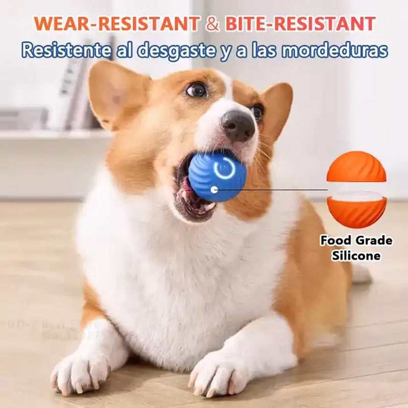 Automatic smart teasing dog ball that can't be bitten🐶