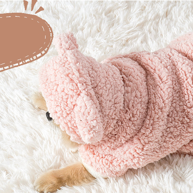 Pet Robe Blanket