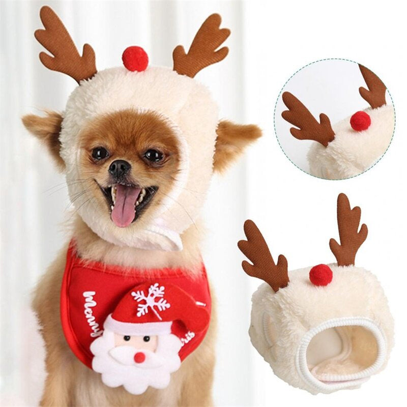 Christmas clothes for pets