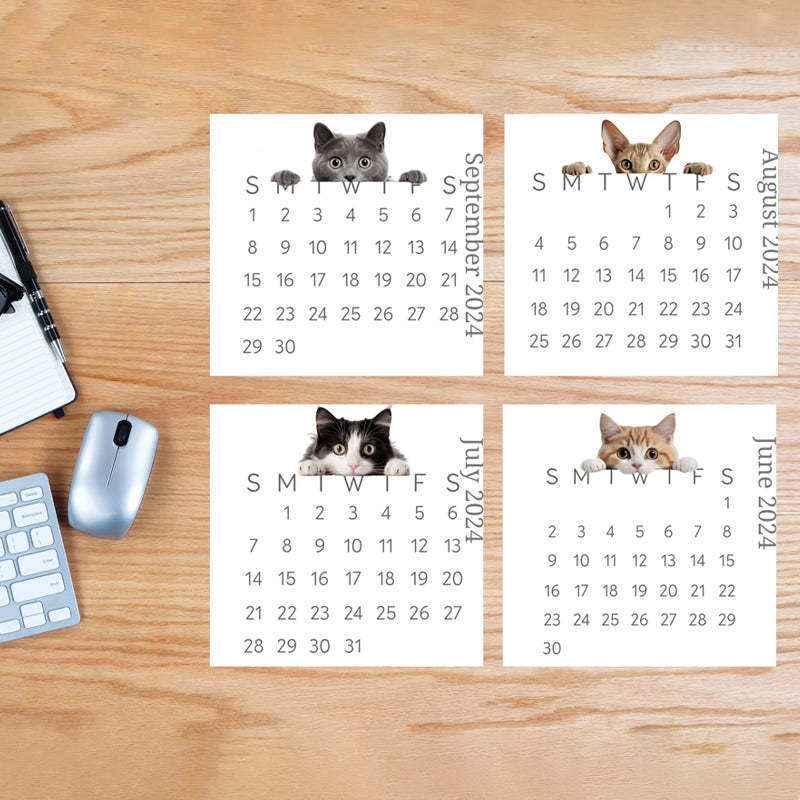 🐱2024 Peeking Cat Desk Calendar