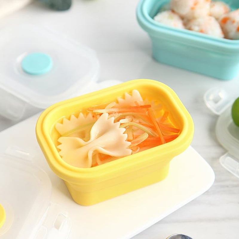 Sealable food preservation box