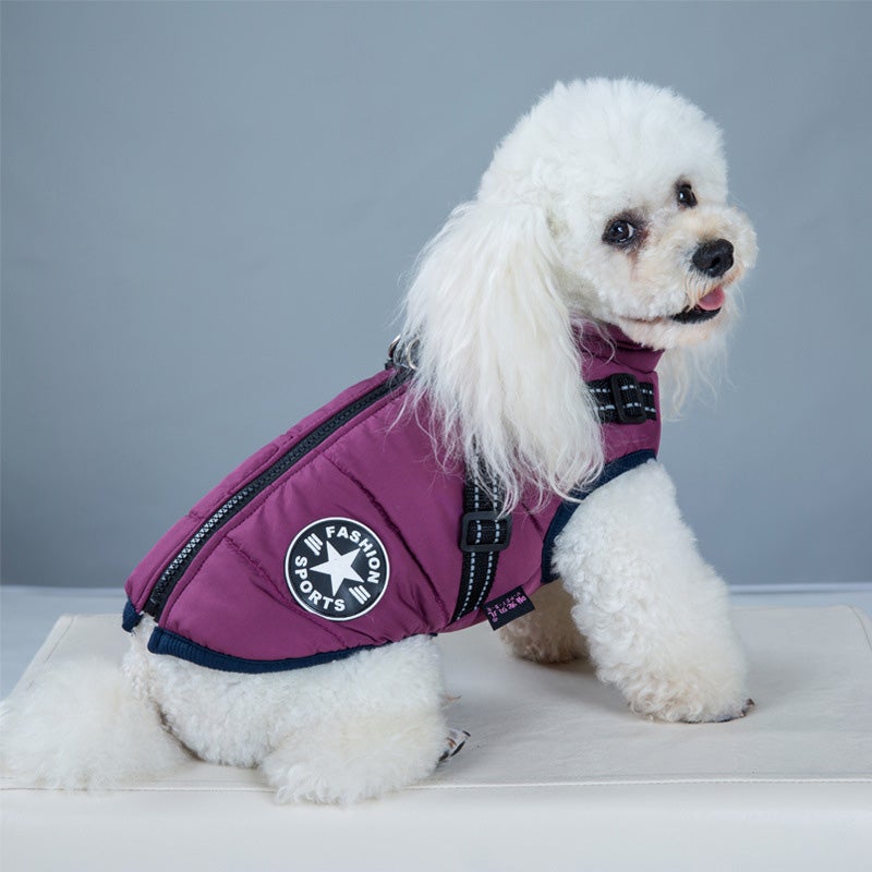 Waterproof Winter Jacket for Dogs