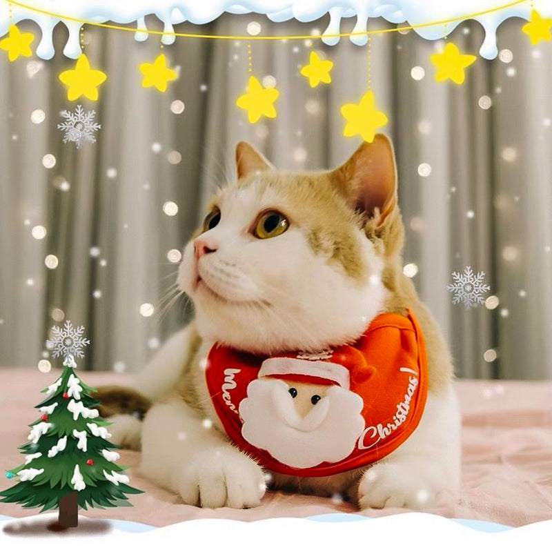 Christmas clothes for pets