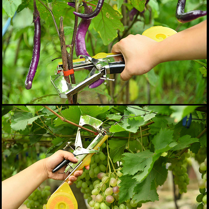 Tying Machine for Garden Plants