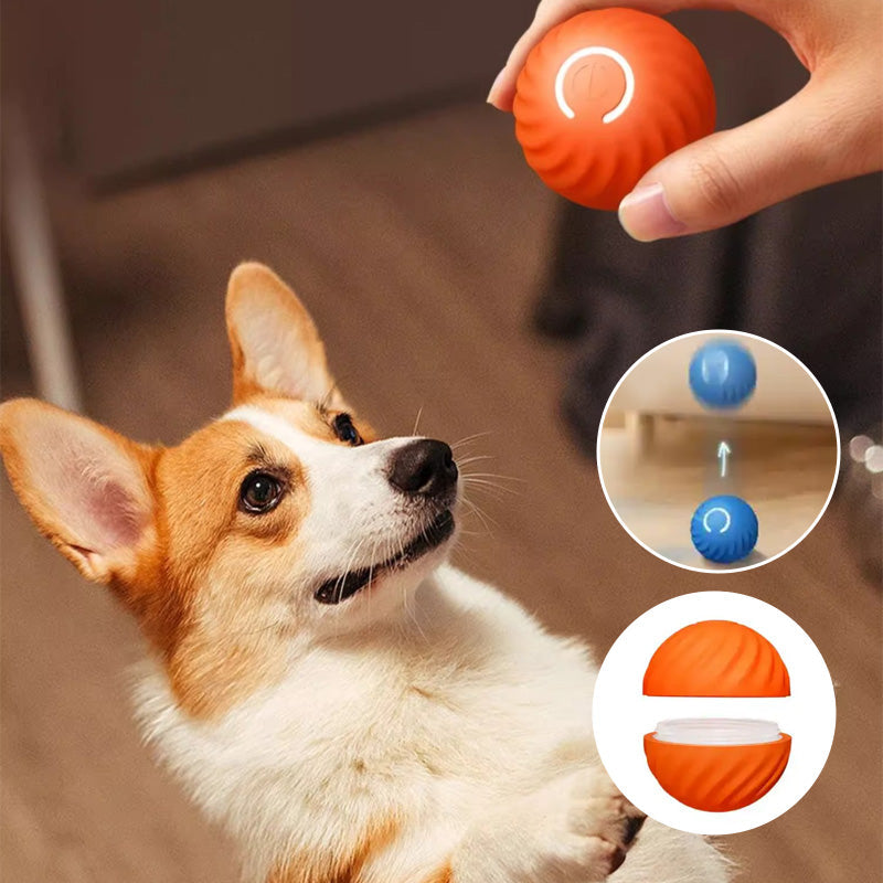 Automatic smart teasing dog ball that can't be bitten🐶