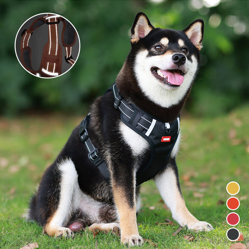 Reflective Dog Chest Strap